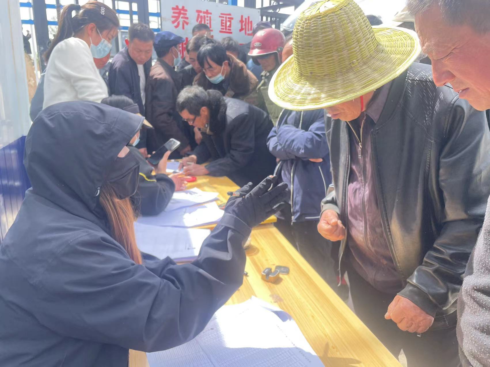 车道镇双庙育肥场图片3