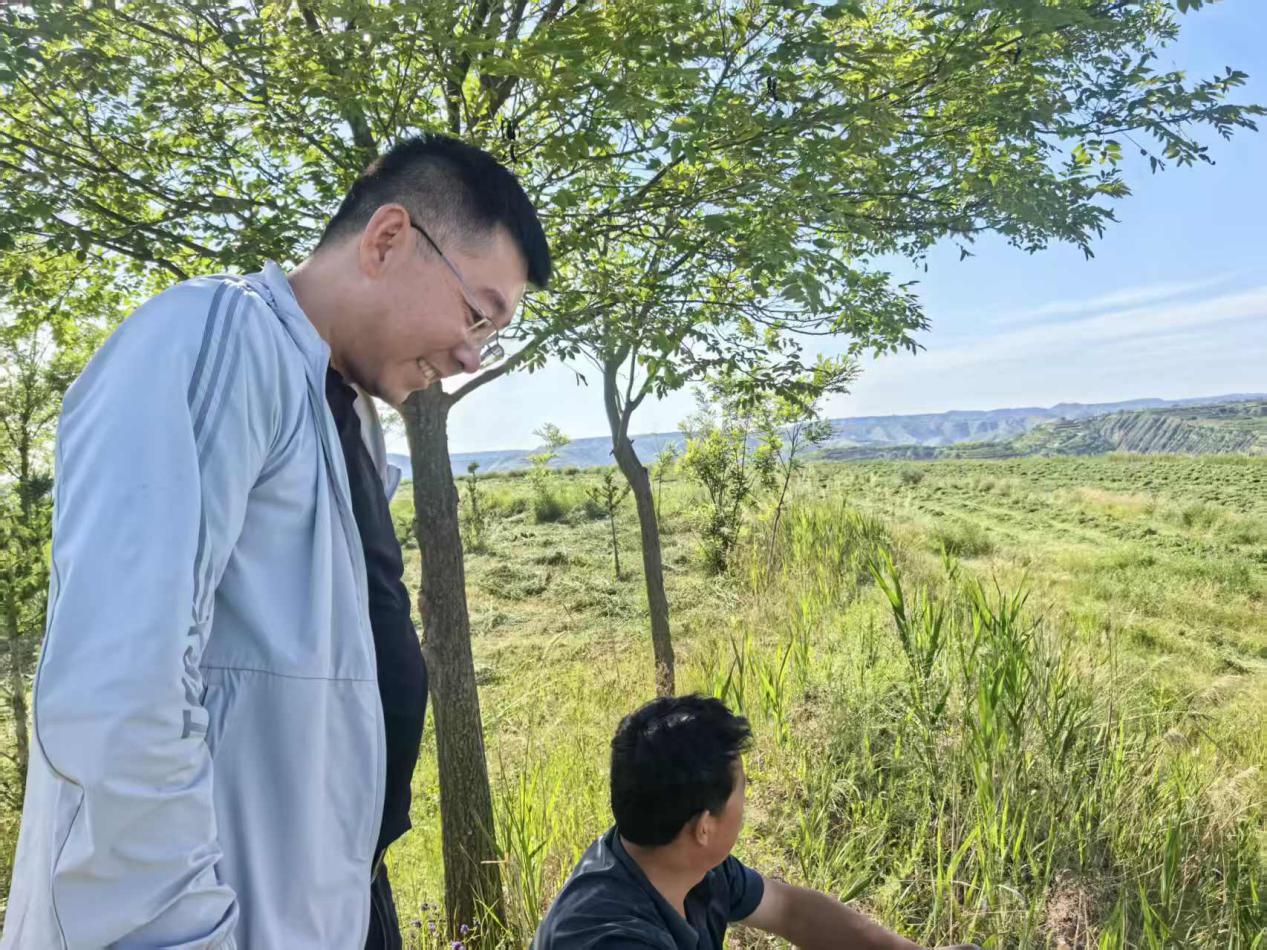 收草现场