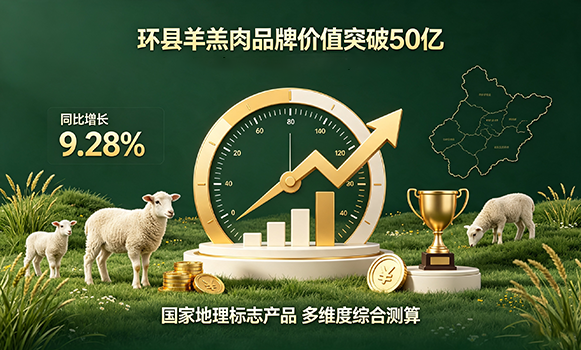 品牌价值评估