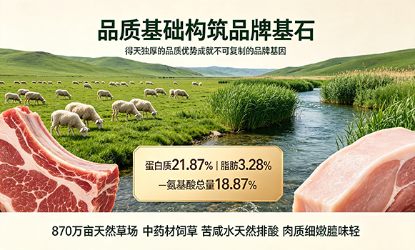 品质基础构筑品牌基石