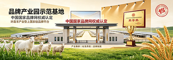 中国国家品牌网