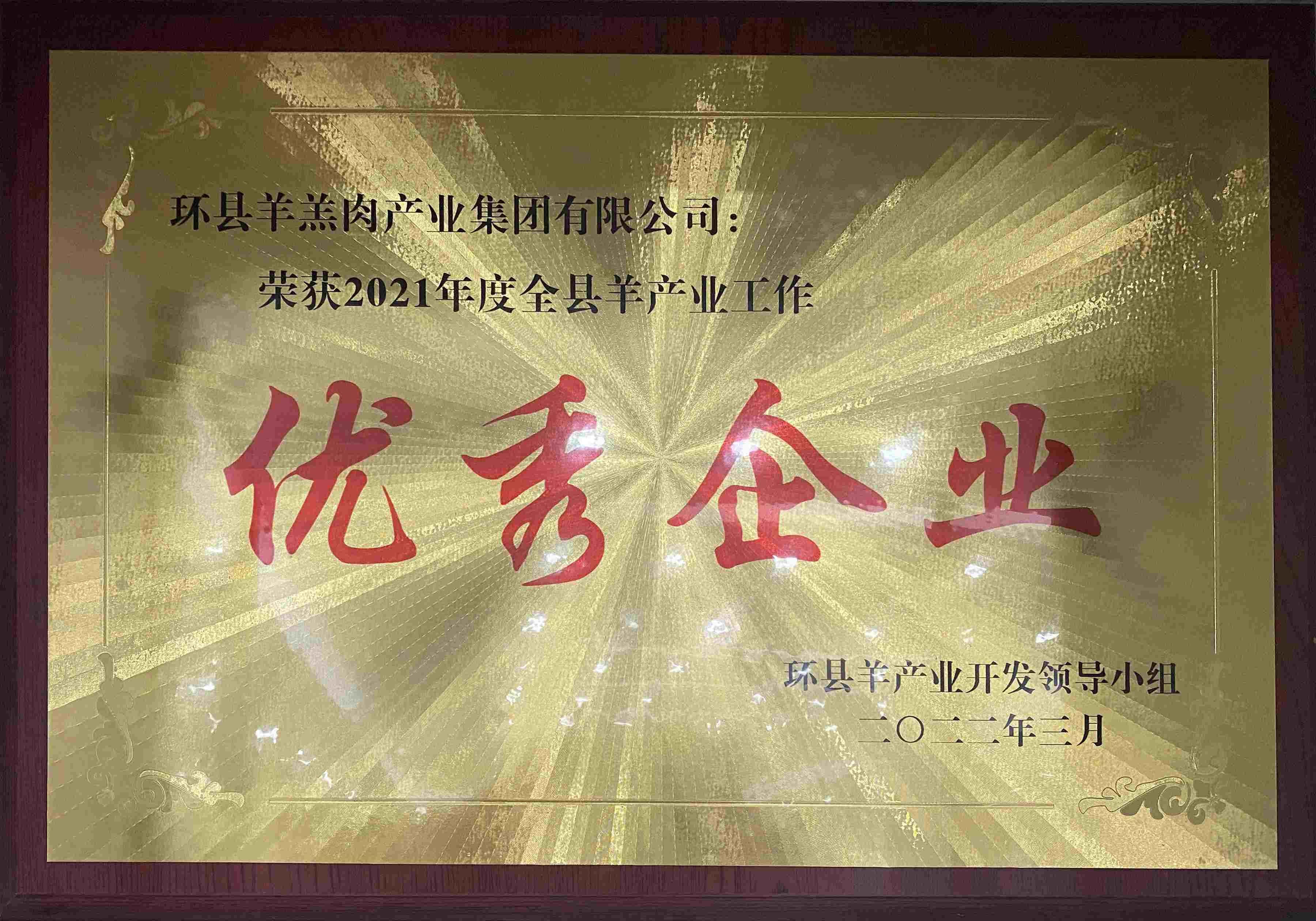 优秀企业