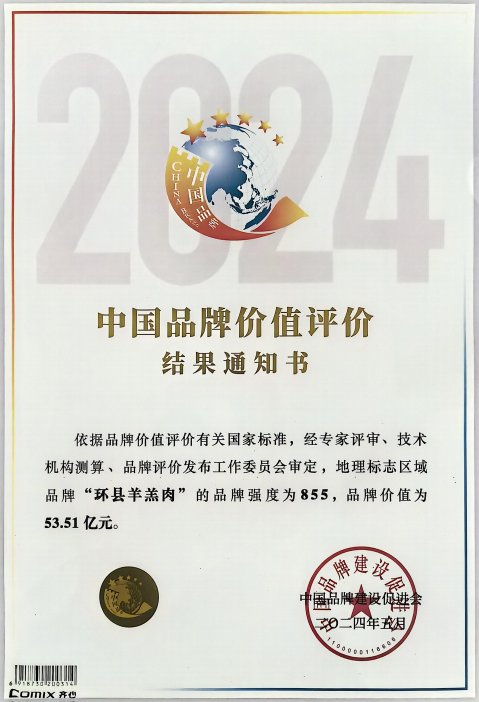 品牌价值奖