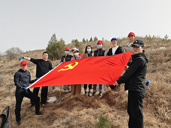 植树公益活动